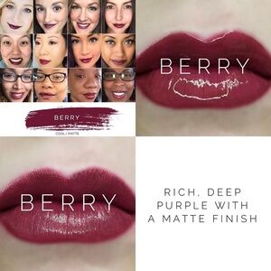 Sengence LipSense Berry Lipstick